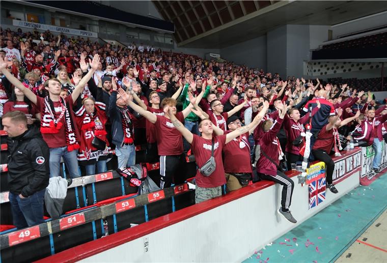 mehr-als-800-pinguins-fan-7129901e277b4dbf1da3e68b4c124d2fc5708bbb