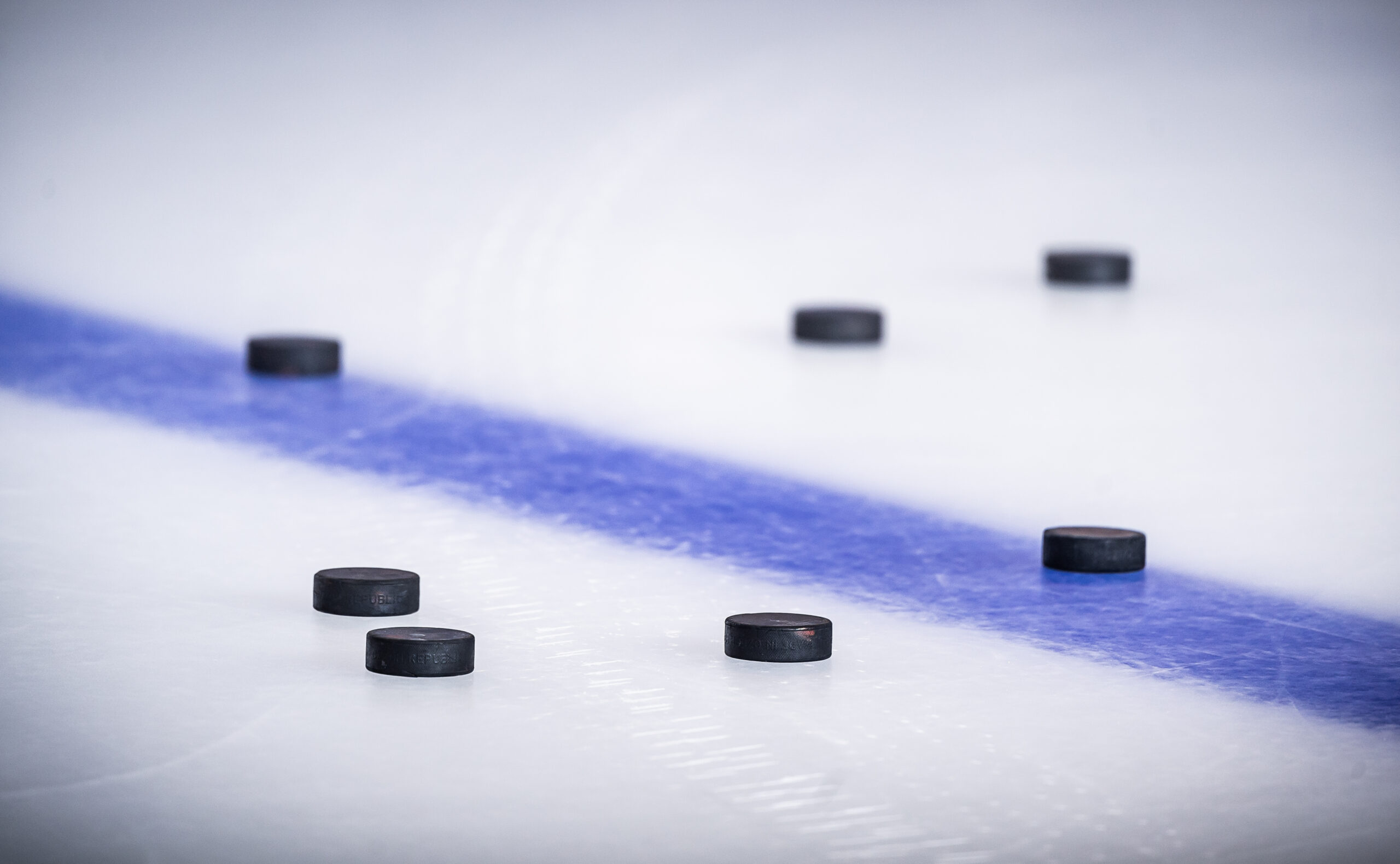 Grizzlys Wolfsburg gegen ERC Ingolstadt – Gubodencup 2021