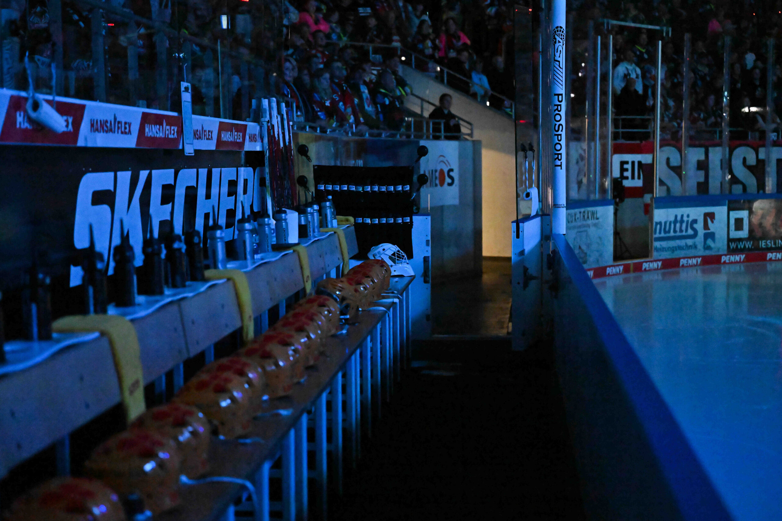 Fischtown Pinguins Bremerhaven – Iserlohn Roosters – PENNY DEL