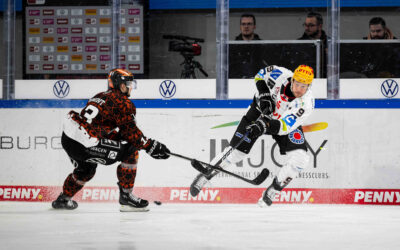 Nordderby in Wolfsburg – Siegesserie gegen die Grizzlys soll ausgebaut werden