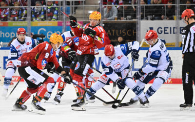 Wild Wings zu Gast in Fischtown