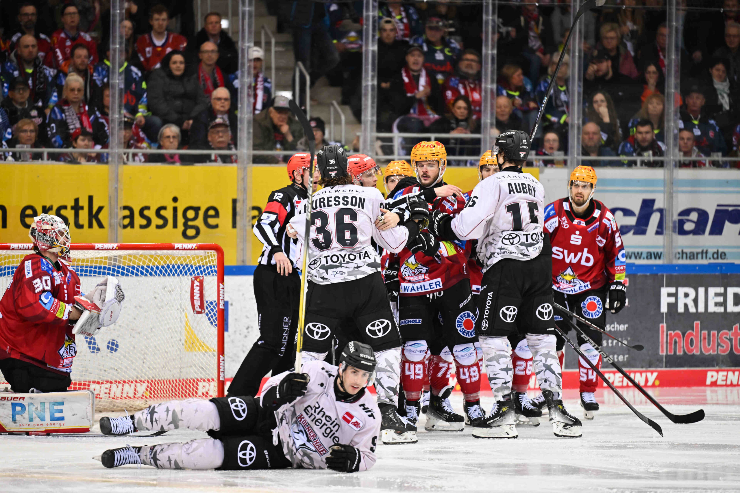 Fischtown Pinguins Bremerhaven – Kölner Haie – PENNY DEL