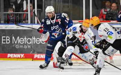 Nächste Station Kurpfalz – Pinguins gastieren bei den Adler Mannheim