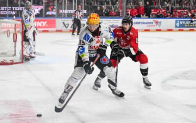 Pinguins zu Gast bei den Kölner Haien – Erfolgsserie soll ausgebaut werden
