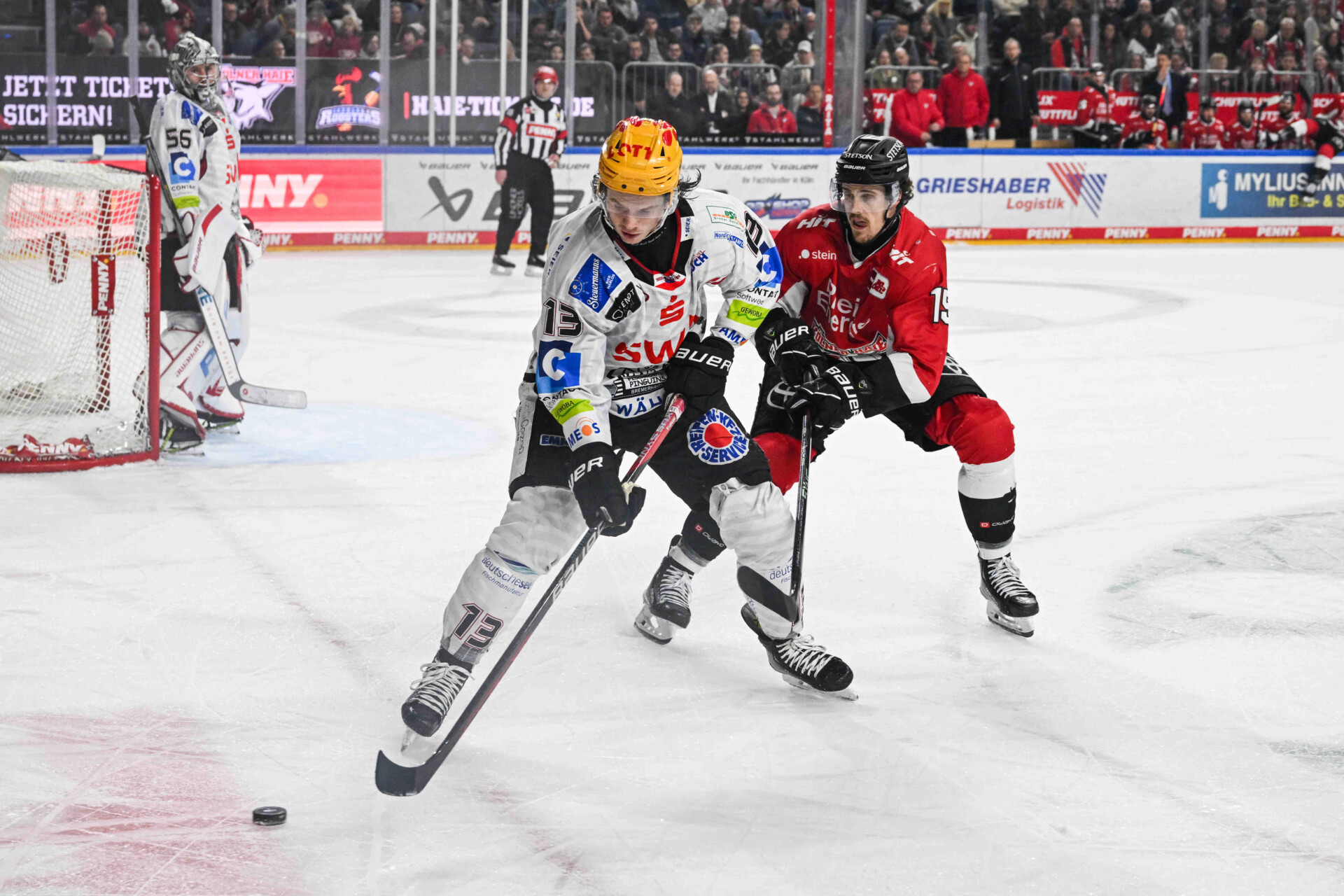 Kölner Haie – Pinguins Bremerhaven – PENNY DEL