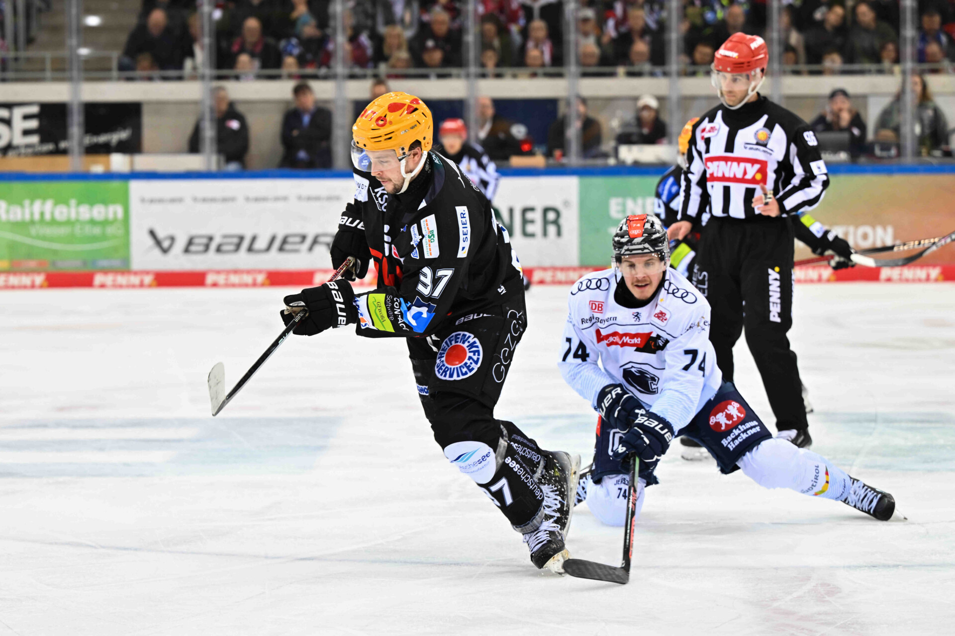 Fischtown Pinguins Bremerhaven – ERC Ingolstadt – PENNY DEL
