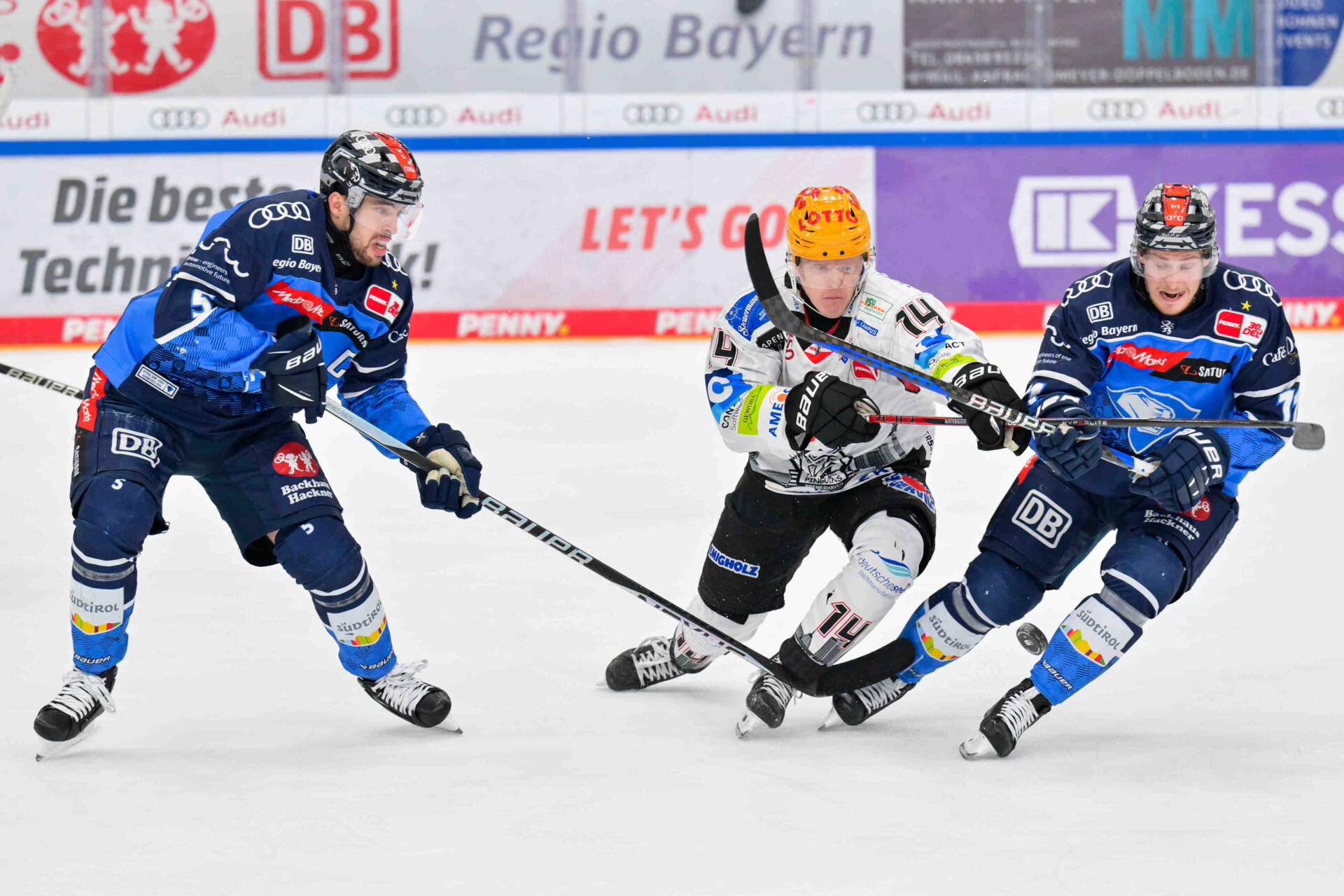ERC Ingolstadt – Fischtown Pinguins Bremerhaven – PENNY DEL