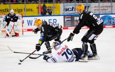 Mit einem Heimsieg ins Finale – Pinguins wollen Heimrecht nutzen
