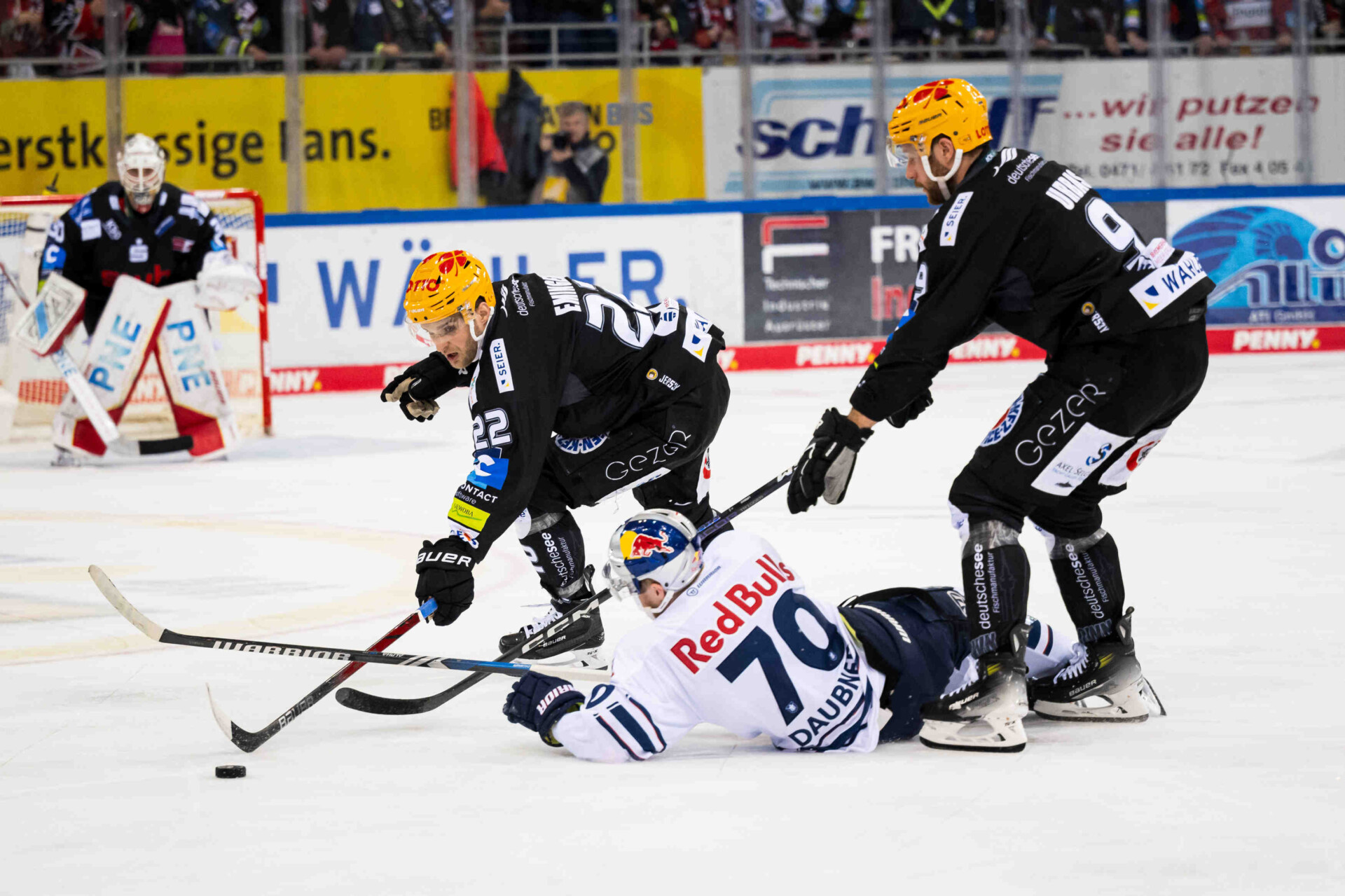 Fischtown Pinguins gegen Red Bull Mnchen – PENNY DEL