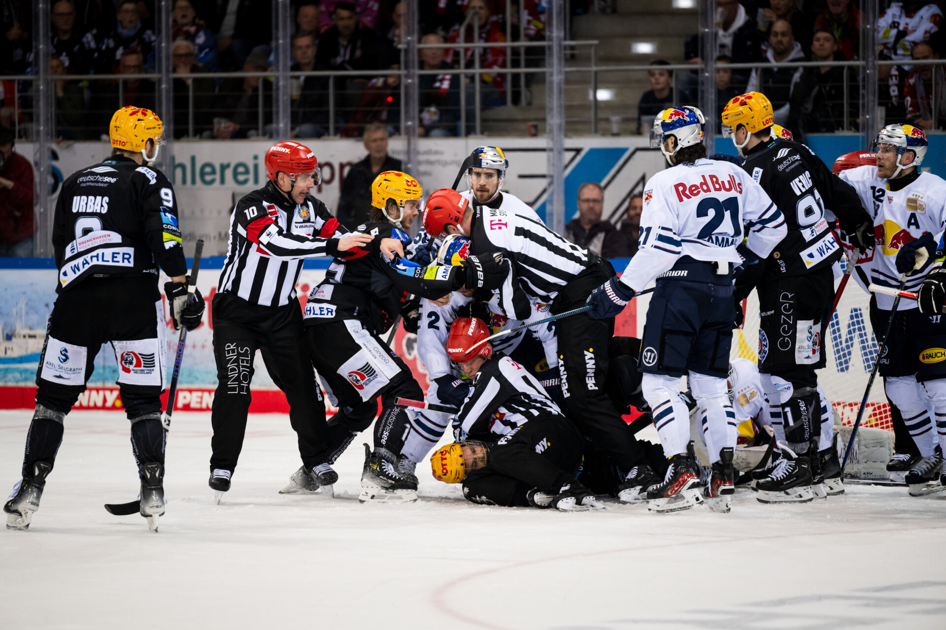 Fischtown Pinguins gegen Red Bull Mnchen – PENNY DEL