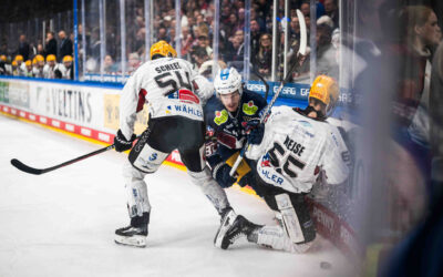 Zurück in die Erfolgsspur – Pinguins wollen den Serienausgleich