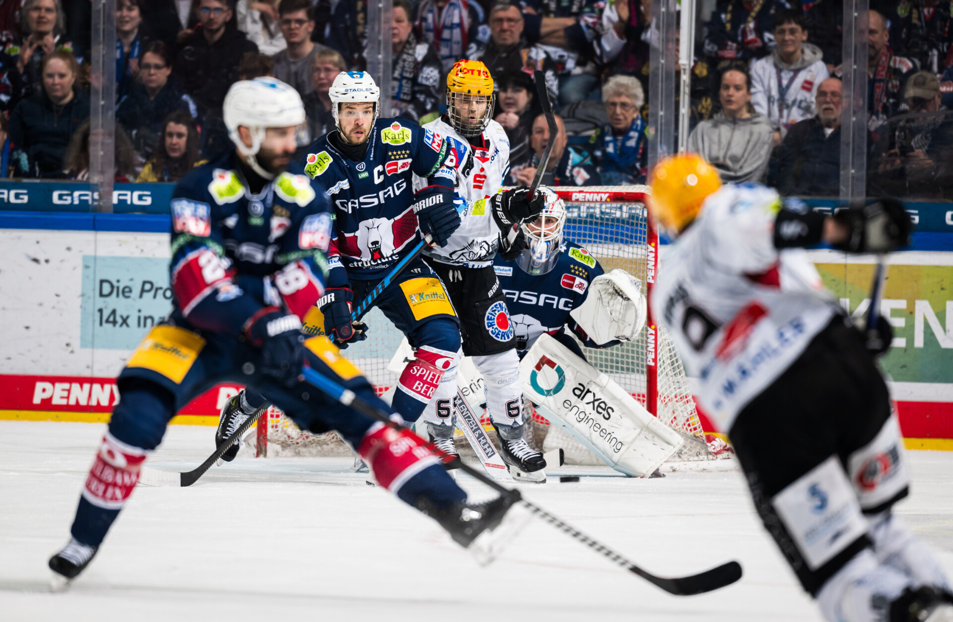 Eisbren Berlin gegen Fischtown Pinguins – PENNY DEL Finale 2024