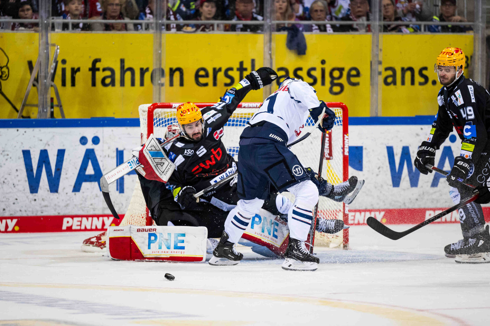 Fischtown Pinguins gegen Red Bull Mnchen – PENNY DEL