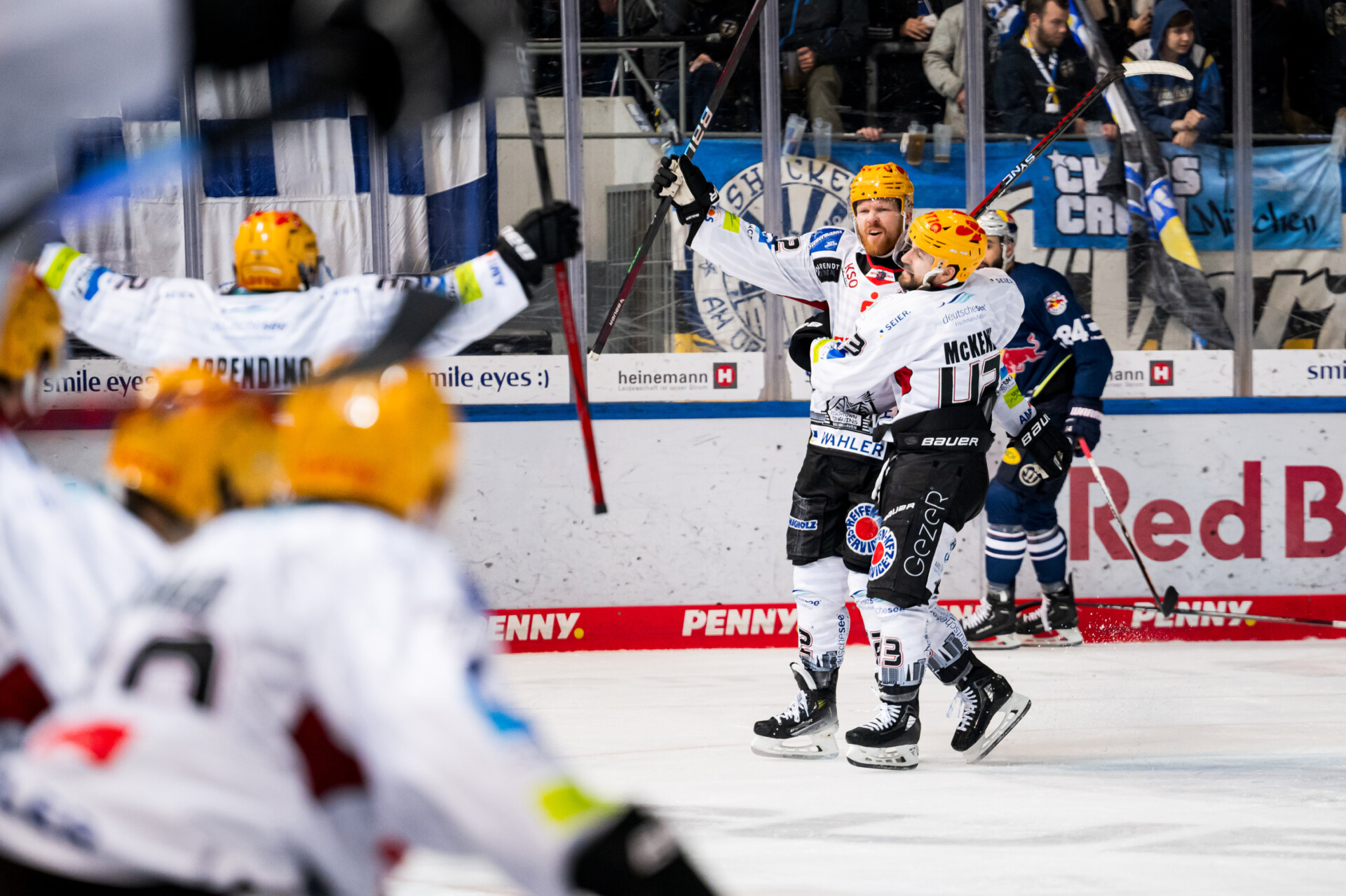 Red Bull Mnchen gegen Fischtown Pinguins – PENNY DEL