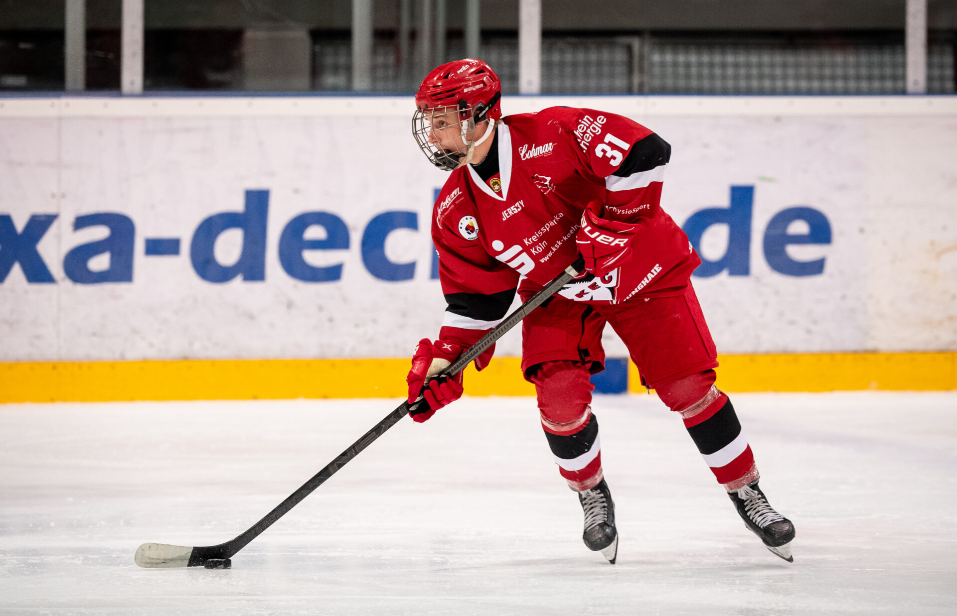 Klner Junghaie gegen Eisbren Juniors Berlin – Deutsche Nachwuchsliga