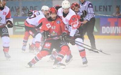 Pinguins zu Gast in Vojens