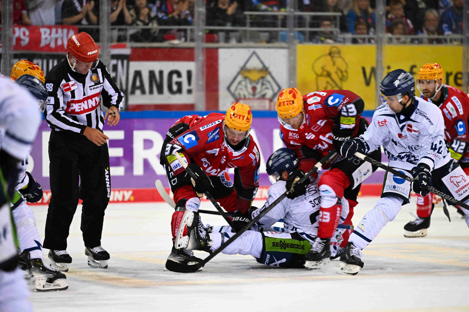 Fischtown Pinguins Bremerhaven – Straubing Tigers – PENNY DEL
