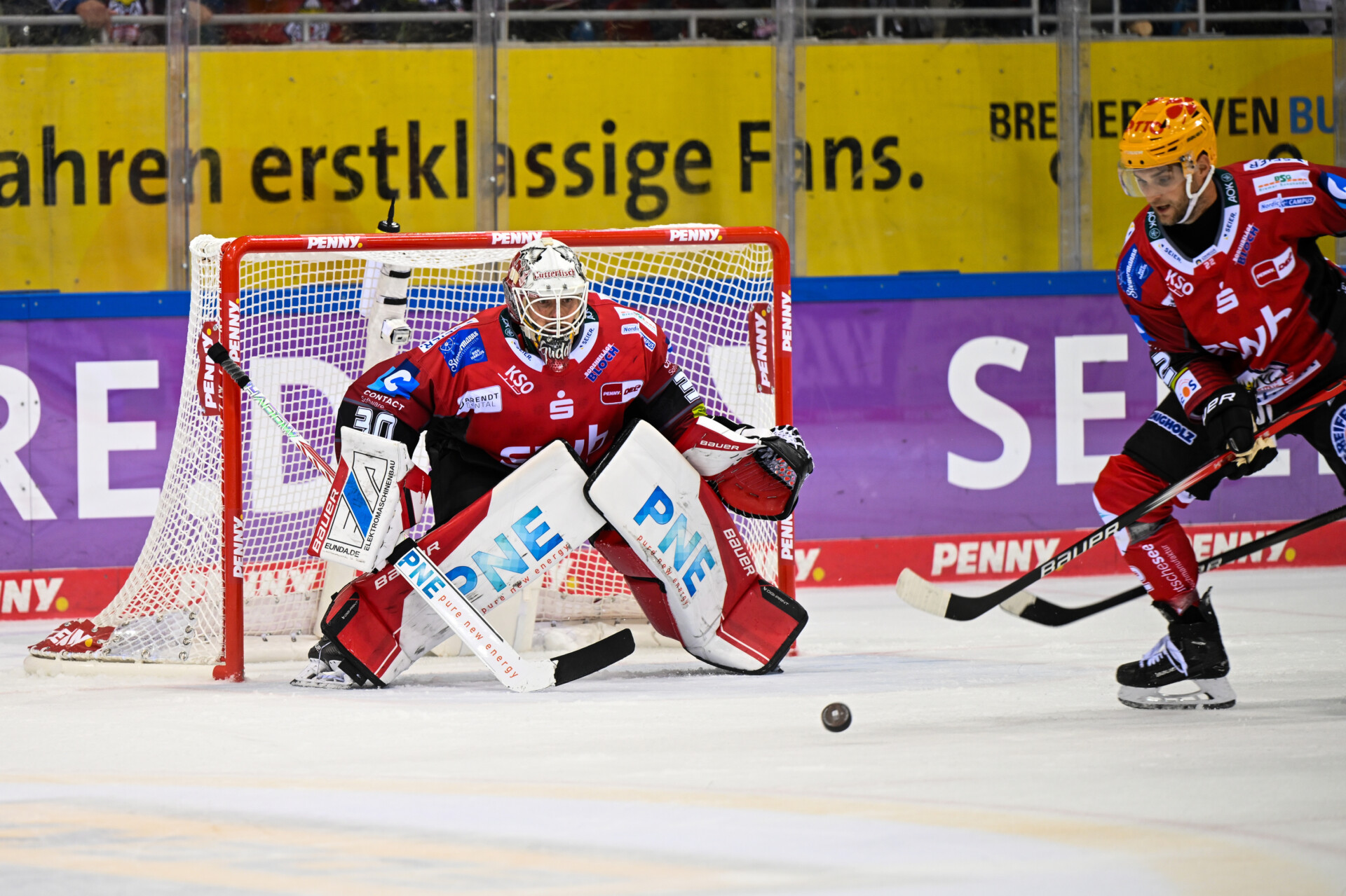 Fischtown Pinguins Bremerhaven – Straubing Tigers – PENNY DEL