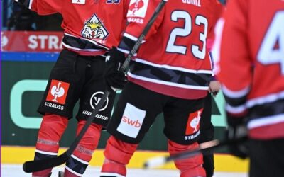 Pinguins im Viertelfinale der CHL – 5:1 Erfolg beim schwedischen Meister