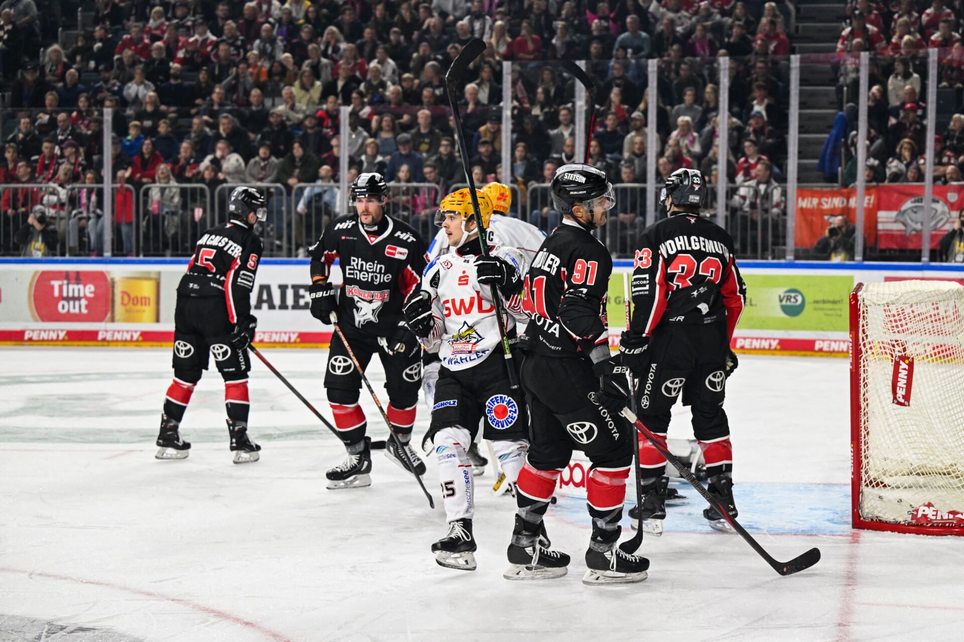 Klner Haie – Pinguins Bremerhaven – PENNY DEL