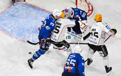 Letztes Spiel vor Weihnachten – Pinguins zu Gast in Mannheim