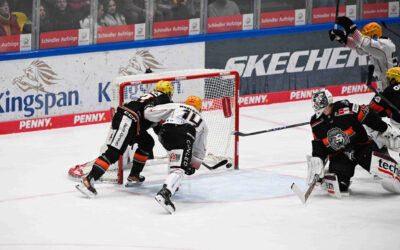 Erneutes Aufeinandertreffen mit den Löwen Frankfurt – Pinguins müssen ohne Pause wieder ran