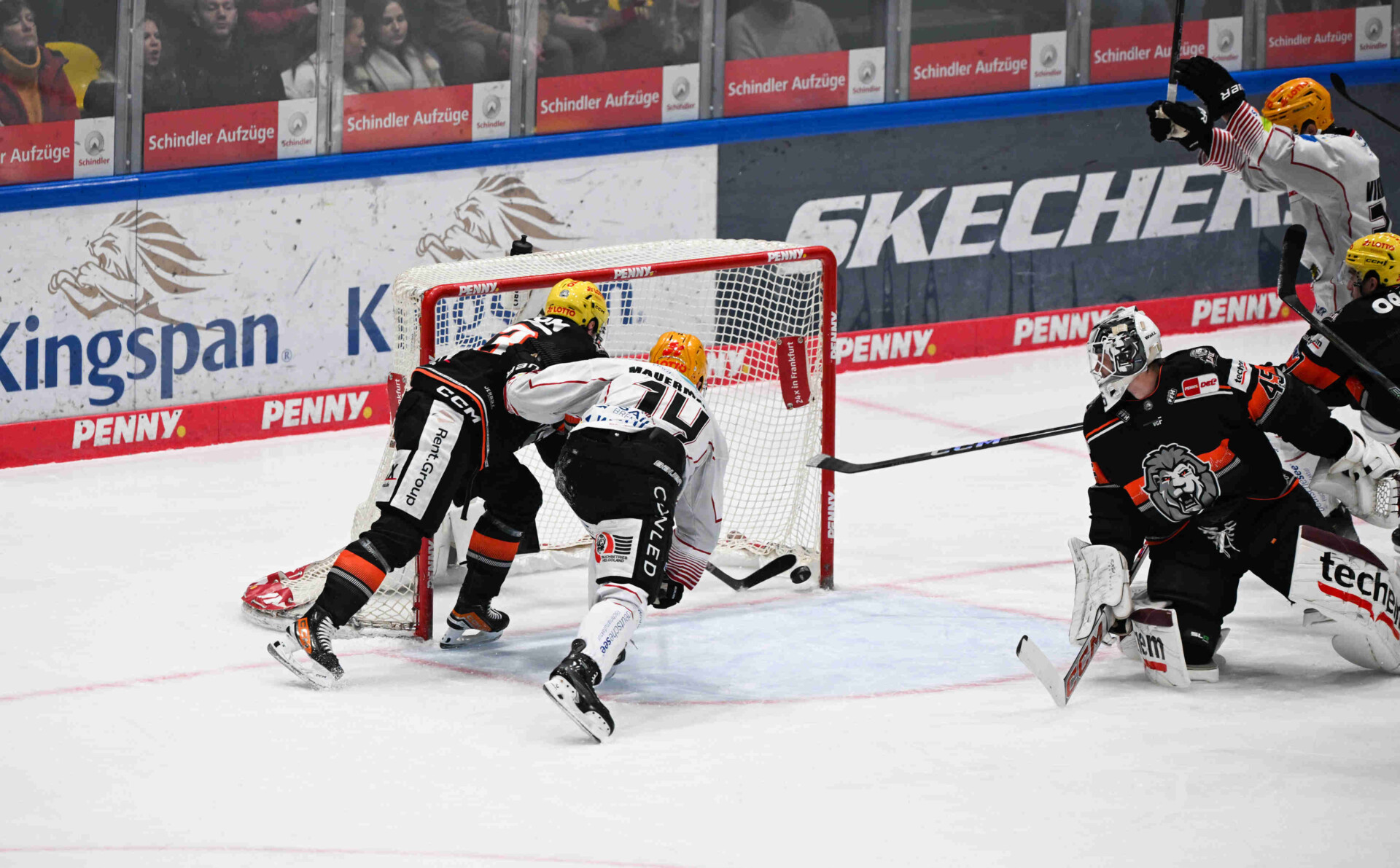 Löwen Frankfurt – Pinguins Bremerhaven – PENNY DEL