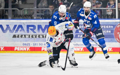 Pinguins treffen auf Ex-Pinguin Maximilian Franzreb – Duell in Mannheim