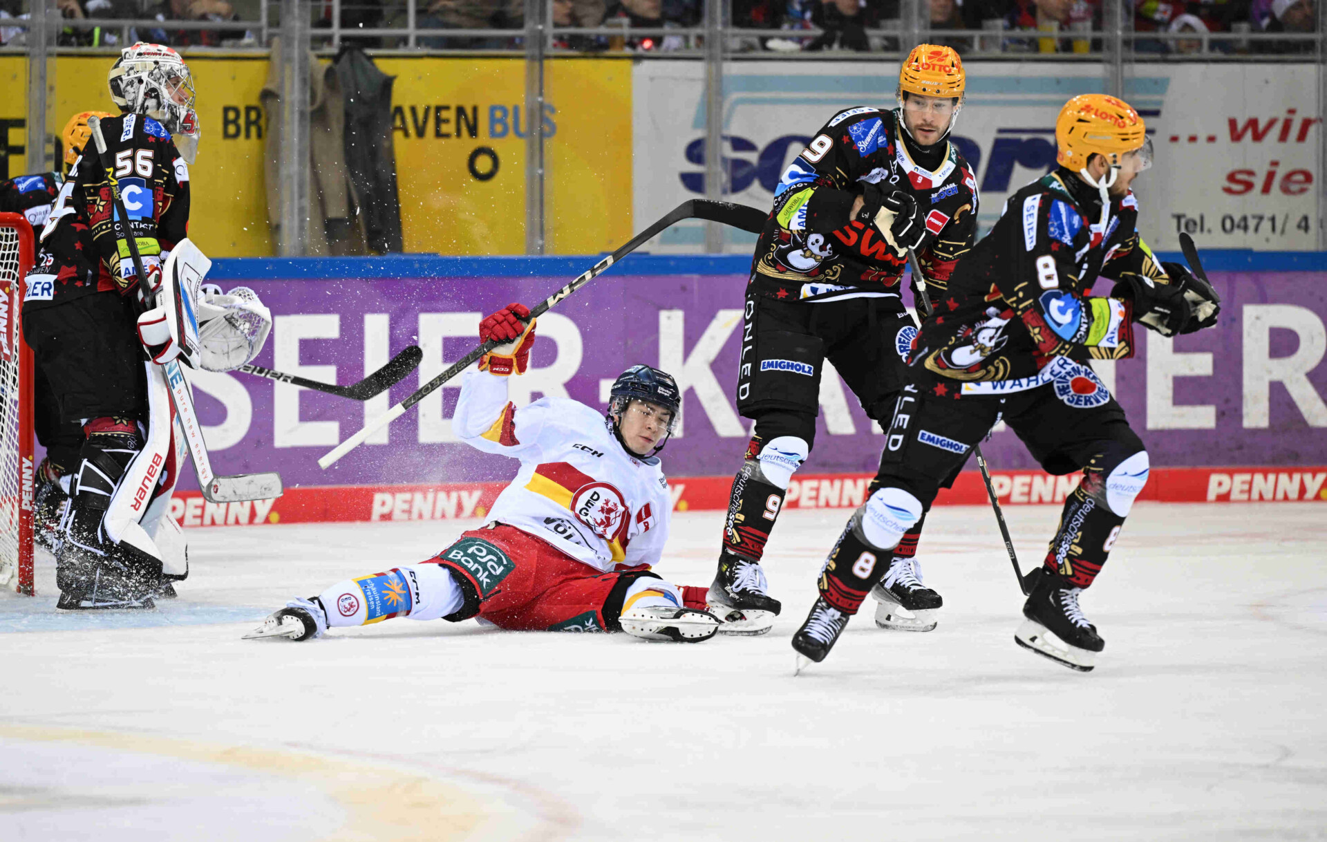 Fischtown Pinguins Bremerhaven – Düsseldorfer EG – PENNY DEL
