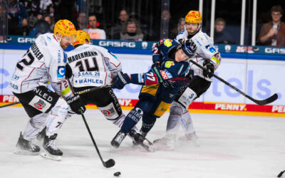Zu Gast beim Meister – Pinguins bei den Eisbären Berlin