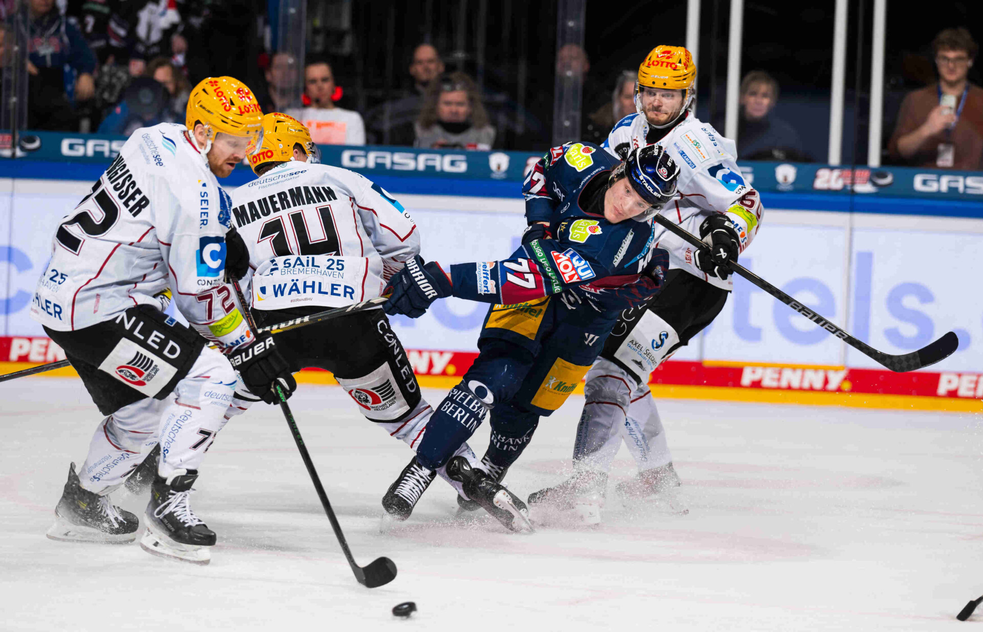Eisbren Berlin gegen Pinguins Bremerhaven – PENNY DEL