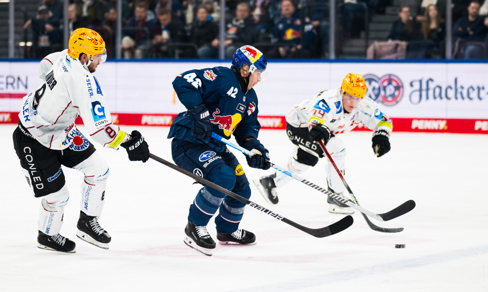 Red Bull Mnchen gegen Fischtown Pinguins Bremerhaven – PENNY DEL