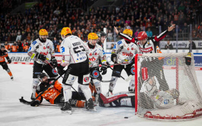 Nordderby im Allerpark – Pinguins zu Gast bei den Grizzlys
