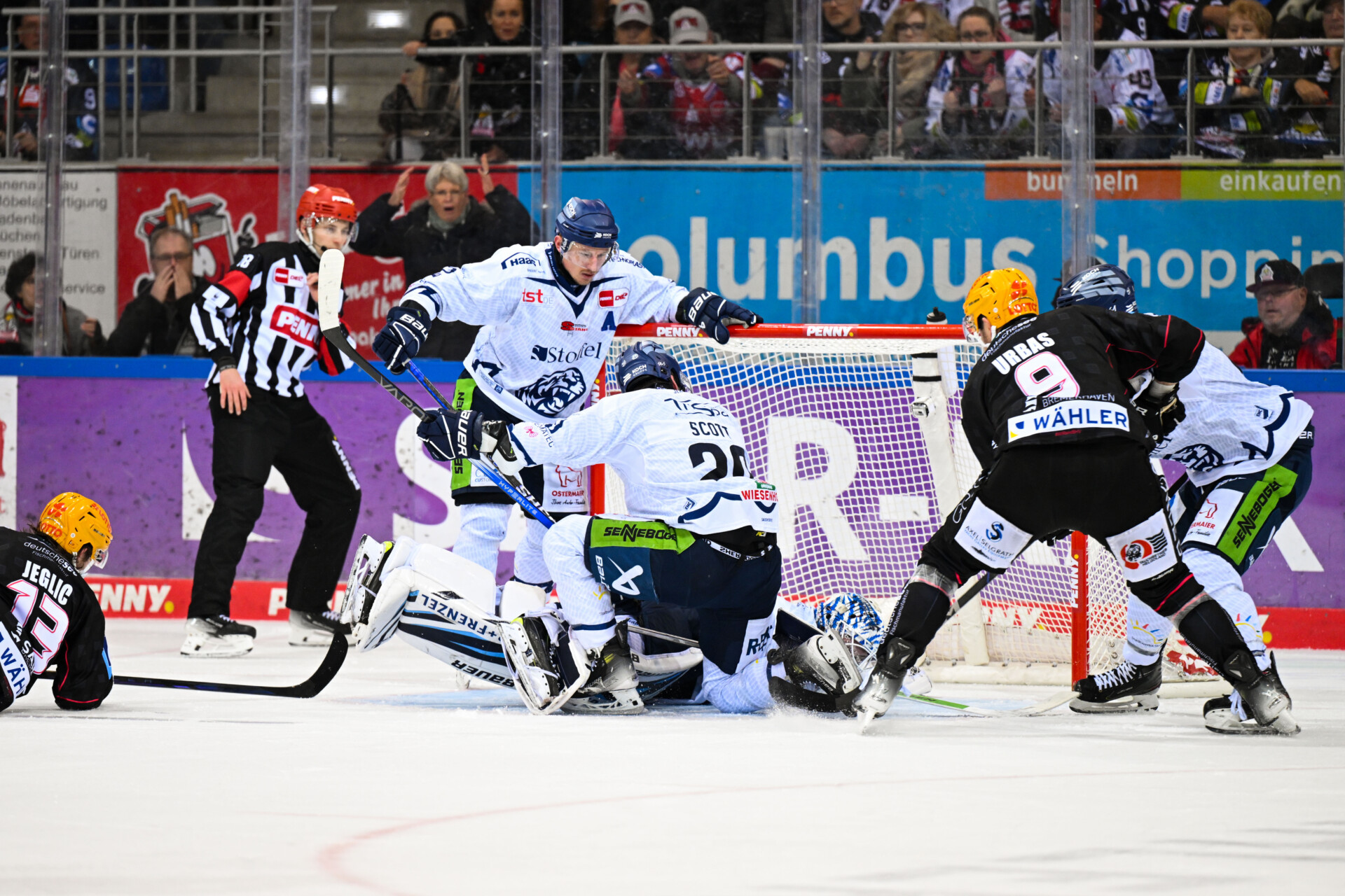 Fischtown Pinguins Bremerhaven – Straubing Tigers – PENNY DEL