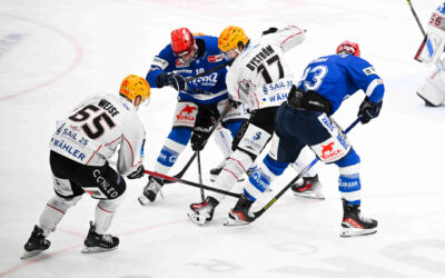 Auswärtsspiel bei den Wild Wings – Pinguins wollen in die Erfolgsspur