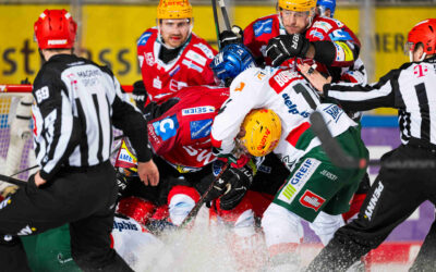 Reise in die Fuggerstadt – Pinguins zu Gast in Augsburg