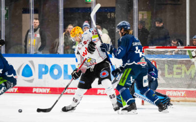 Topspiel in der Penny-DEL – Straubing empfängt die Pinguins