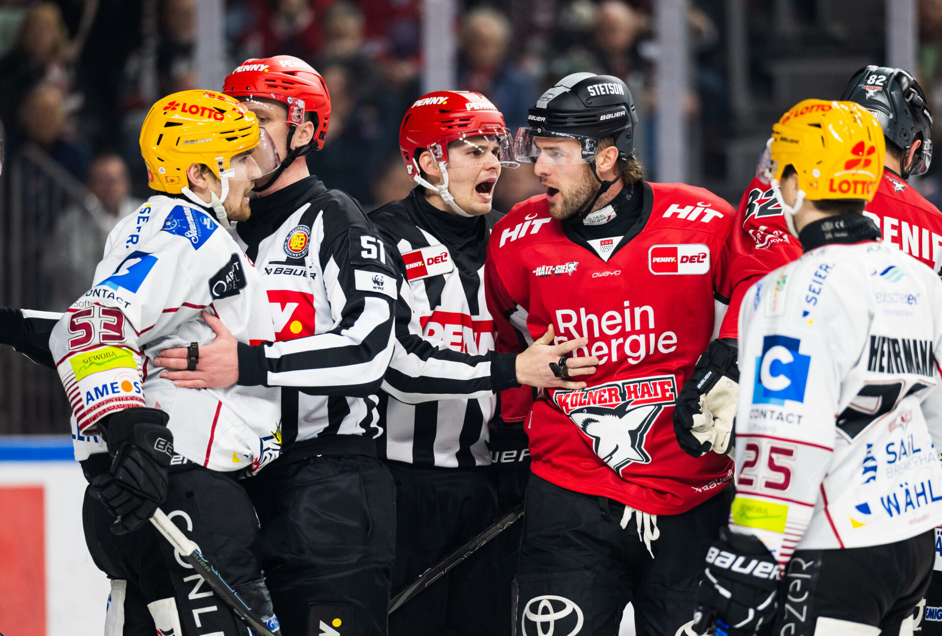Klner Haie gegen Pinguins Bremerhaven – PENNY DEL Playoffs Viertelfinale