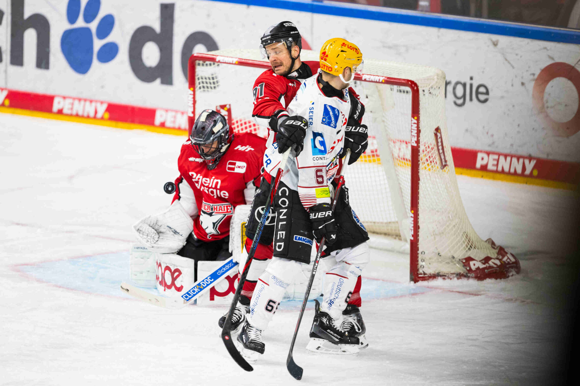 Klner Haie gegen Pinguins Bremerhaven – PENNY DEL Playoffs Viertelfinale