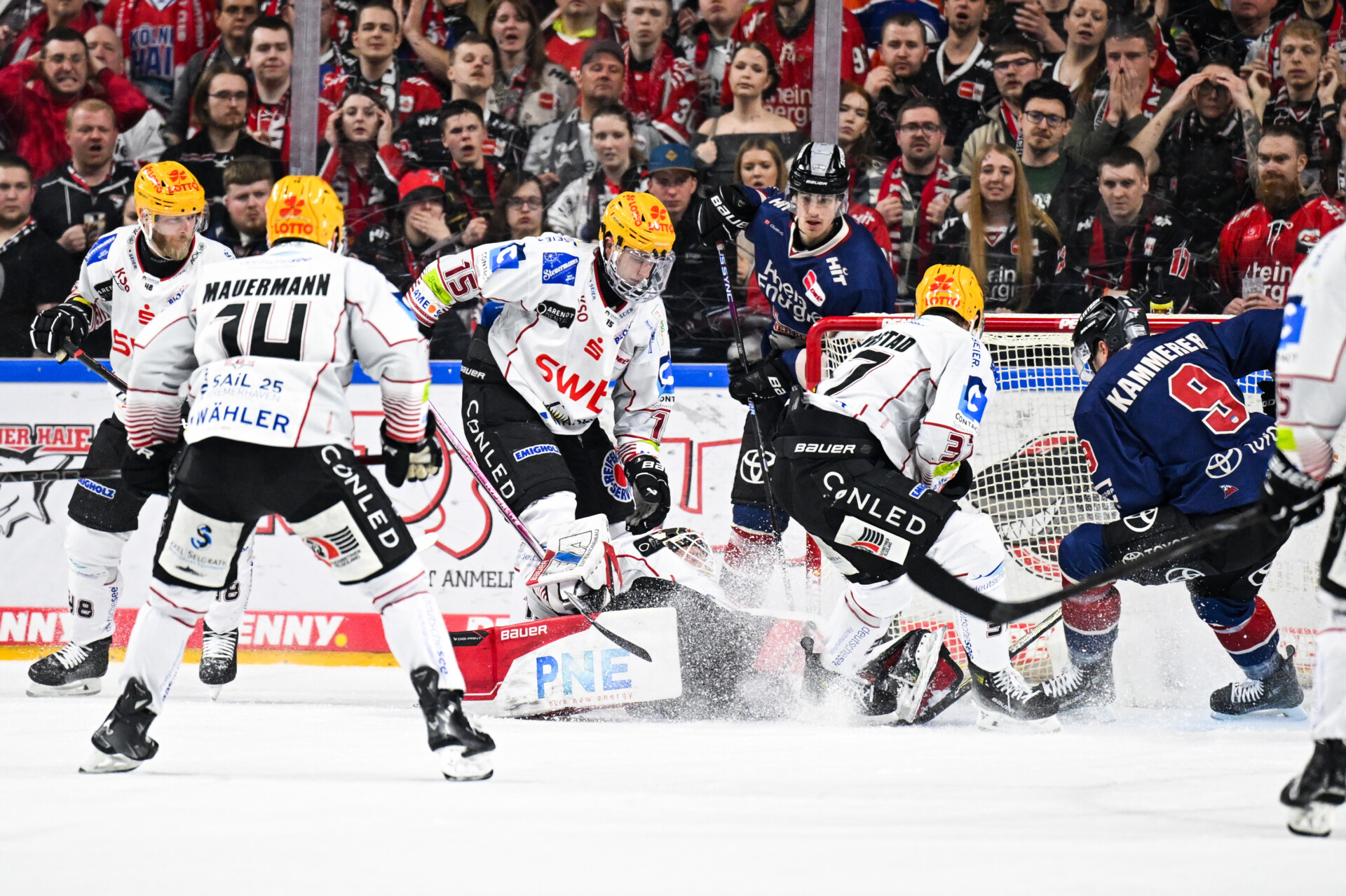 Klner Haie – Pinguins Bremerhaven – PENNY DEL