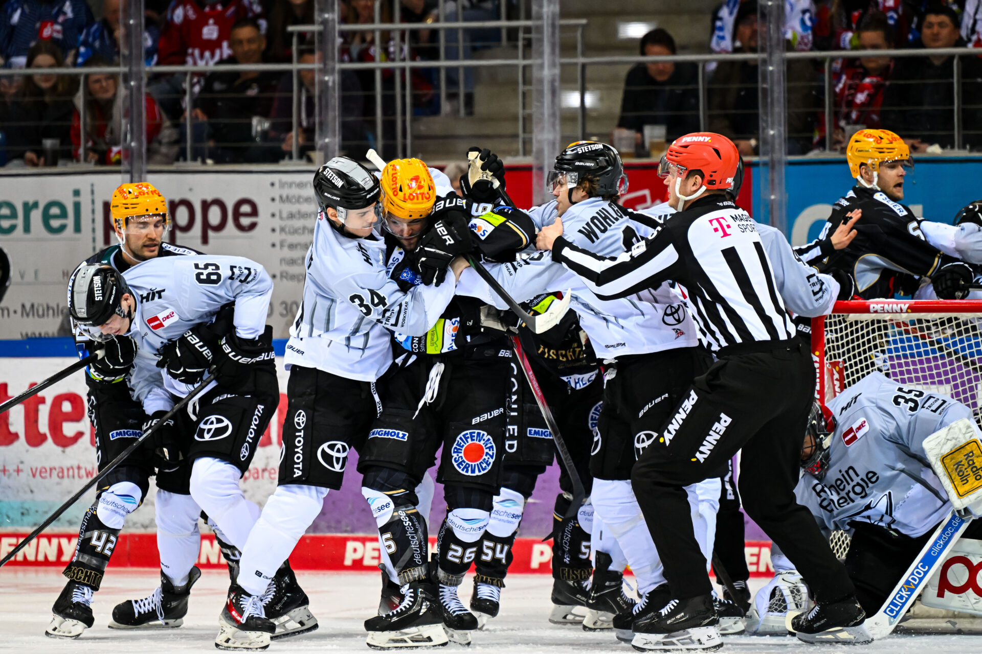 Fischtown Pinguins Bremerhaven – Kölner Haie – PENNY DEL