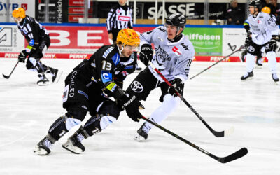 Pinguins vor schwerer Aufgabe gegen die Kölner Haie