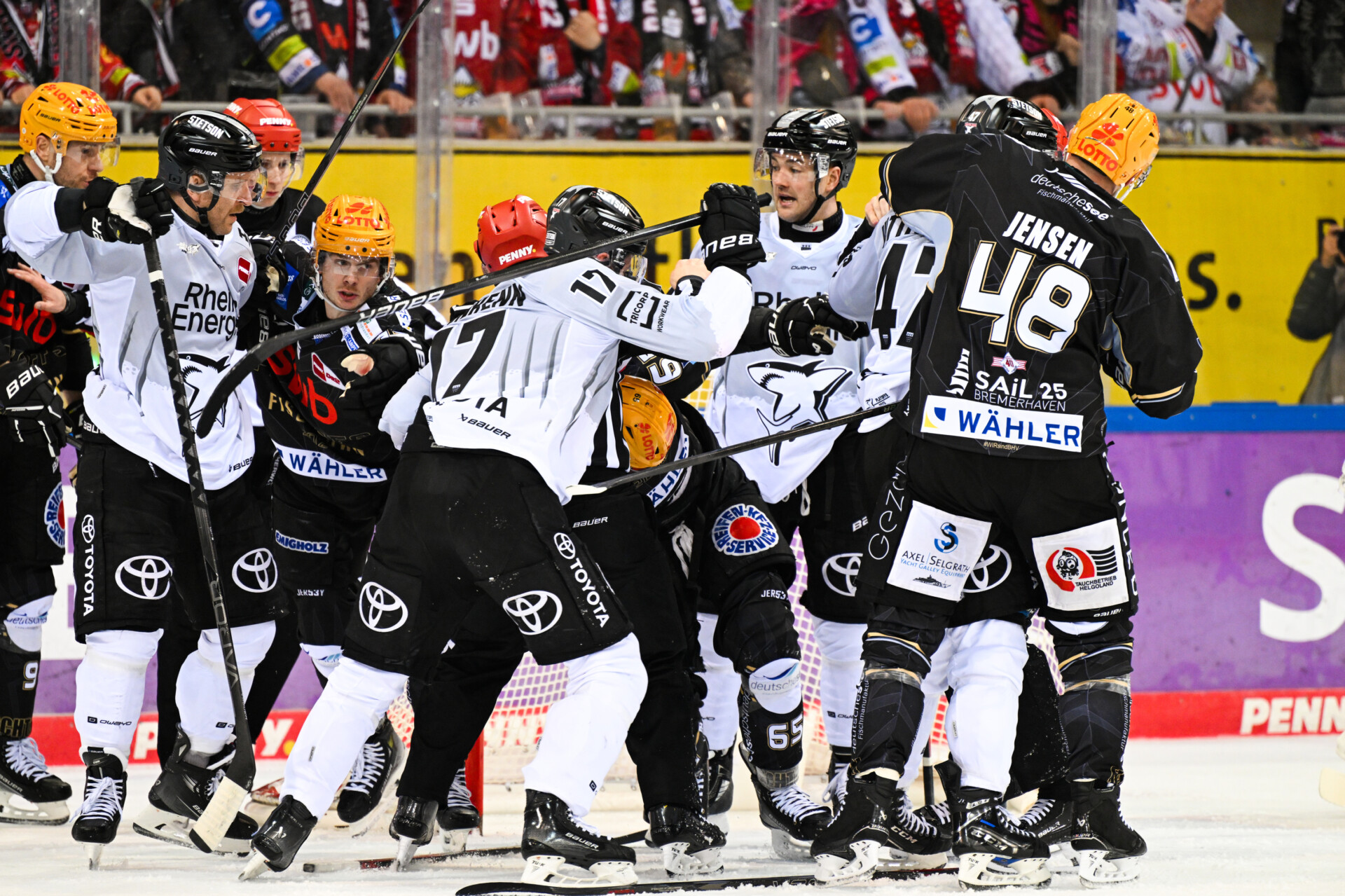 Fischtown Pinguins Bremerhaven – Klner Haie – PENNY DEL