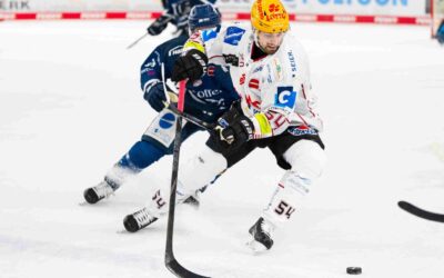 Fischtown Pinguins und Felix Scheel gehen getrennte Wege