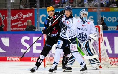 Heimspielwochenende für die Pinguins – Straubing Tigers machen den Anfang am Freitag