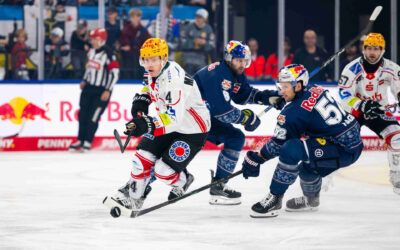 Pinguins auf dem Roadtrip – Gastspiel in München