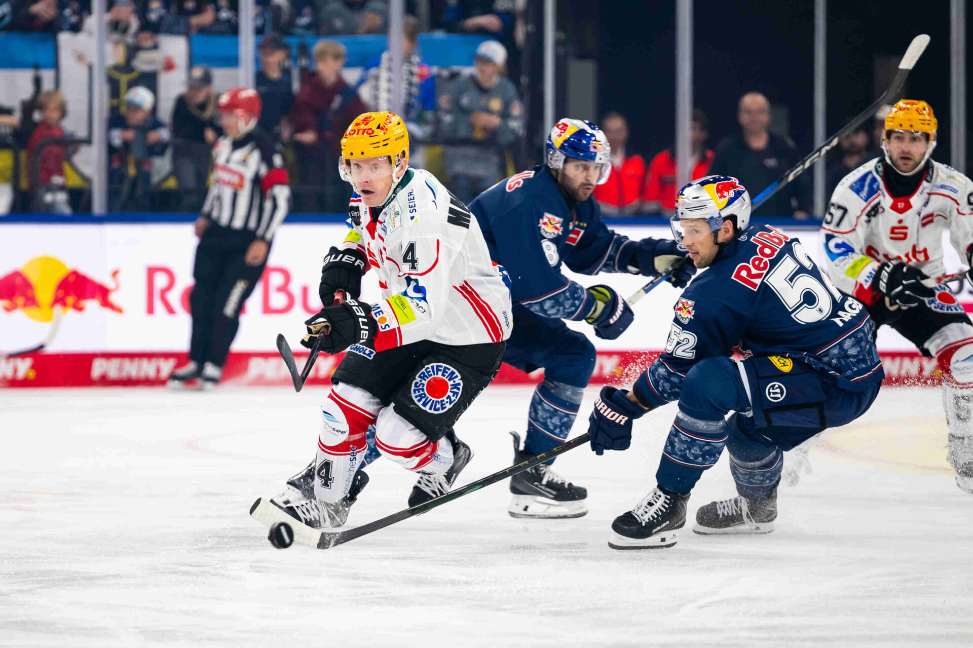 Red Bull Mnchen gegen Fischtown Pinguins – PENNY DEL