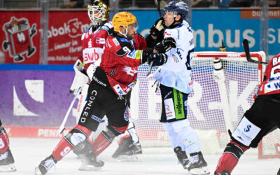 Fischtown Pinguins empfangen die Straubing Tigers – Sieg soll Platz 6 festigen