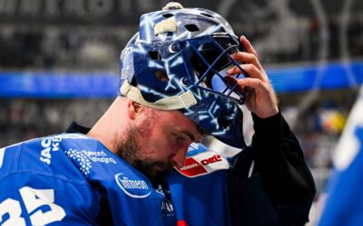 Pinguins reagieren:  Nach Guddy-Ausfall kommt Hudáček
