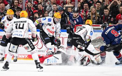 Pinguins gastieren bei den Kölner Haien